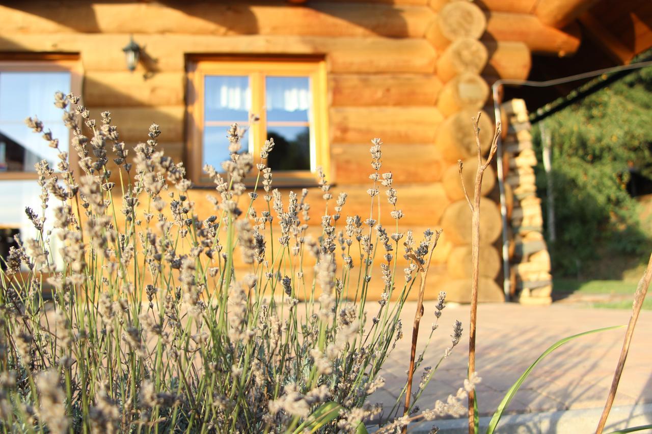Ranch Bystrá Bystrá nad Jizerou Exterior foto